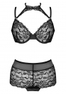 Livco Corsetti Linera  5